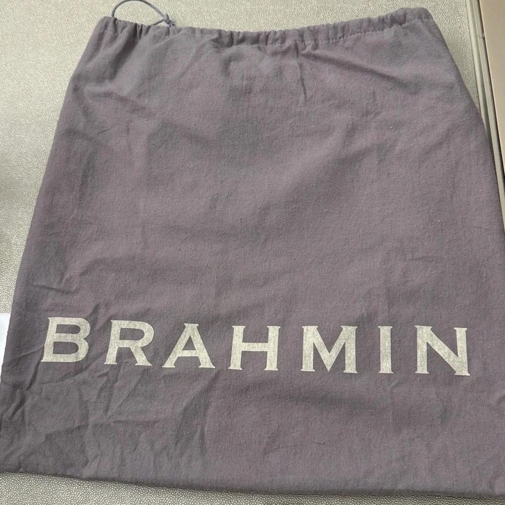 Brahmin hobo croc